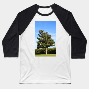 Southern Magnolia Tree Baseball T-Shirt